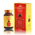 Cordy Plus ถั่งเฉ้า อ.วิโรจน์ ตั้งวาณิชย์