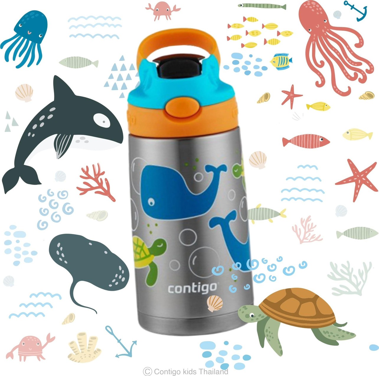 Contigo kids รุ่น stainless ของแท้พร้อมส่งค่ะ เลือกลายได้เพียบเลยค่ะ ลายปลาวาฬ