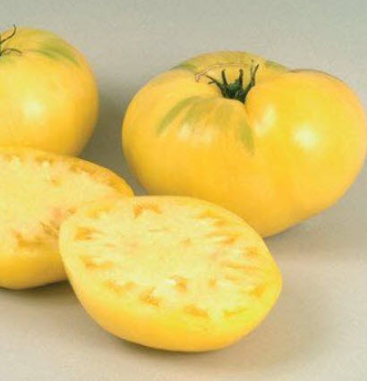 มะเขือเทศ เยลโล่สโตน (Tomato - Yellowstone) / 100 เม็ด (UK) *