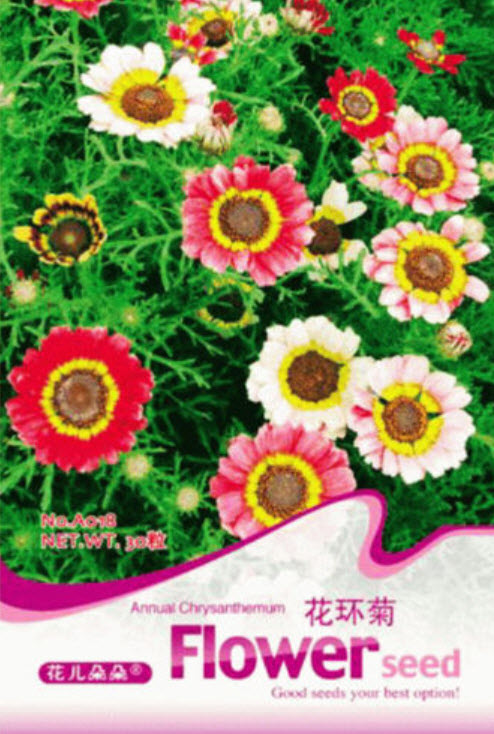 บานชื่น (Zinnia) คละสี / ซอง 50 เม็ด (A018)