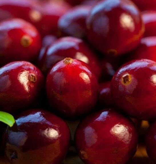 แครนเบอร์รี่ (Cranberry) / 100 เม็ด (นอก)