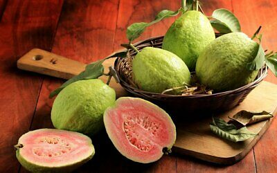 ฝรั่งไส้แดง (Guava) / 50 เม็ด (Russia)