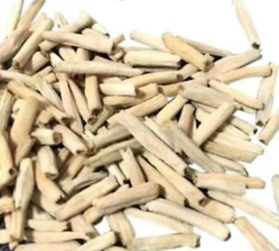 ชวนชม (Adenium) เขียวมะนาว / 2 เม็ด (นอก)