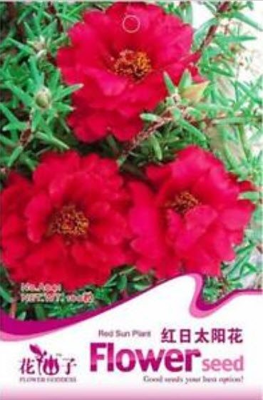 คุณนายตื่นสาย (Portulaca) สีแดง / ซอง 200 เม็ด (A041)