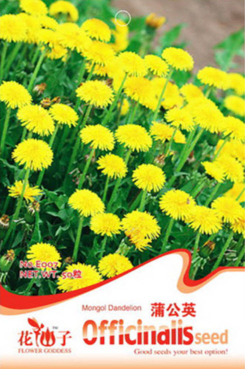มองโกล แดนดิไลออน (Mongol Dandelion) / ซอง 50 เม็ด (E007)