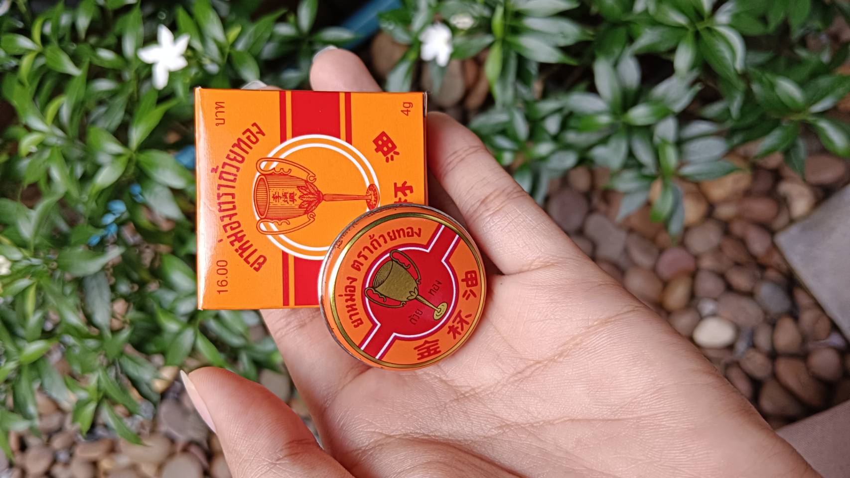 ยาหม่องถ้วยทอง 4 กรัม