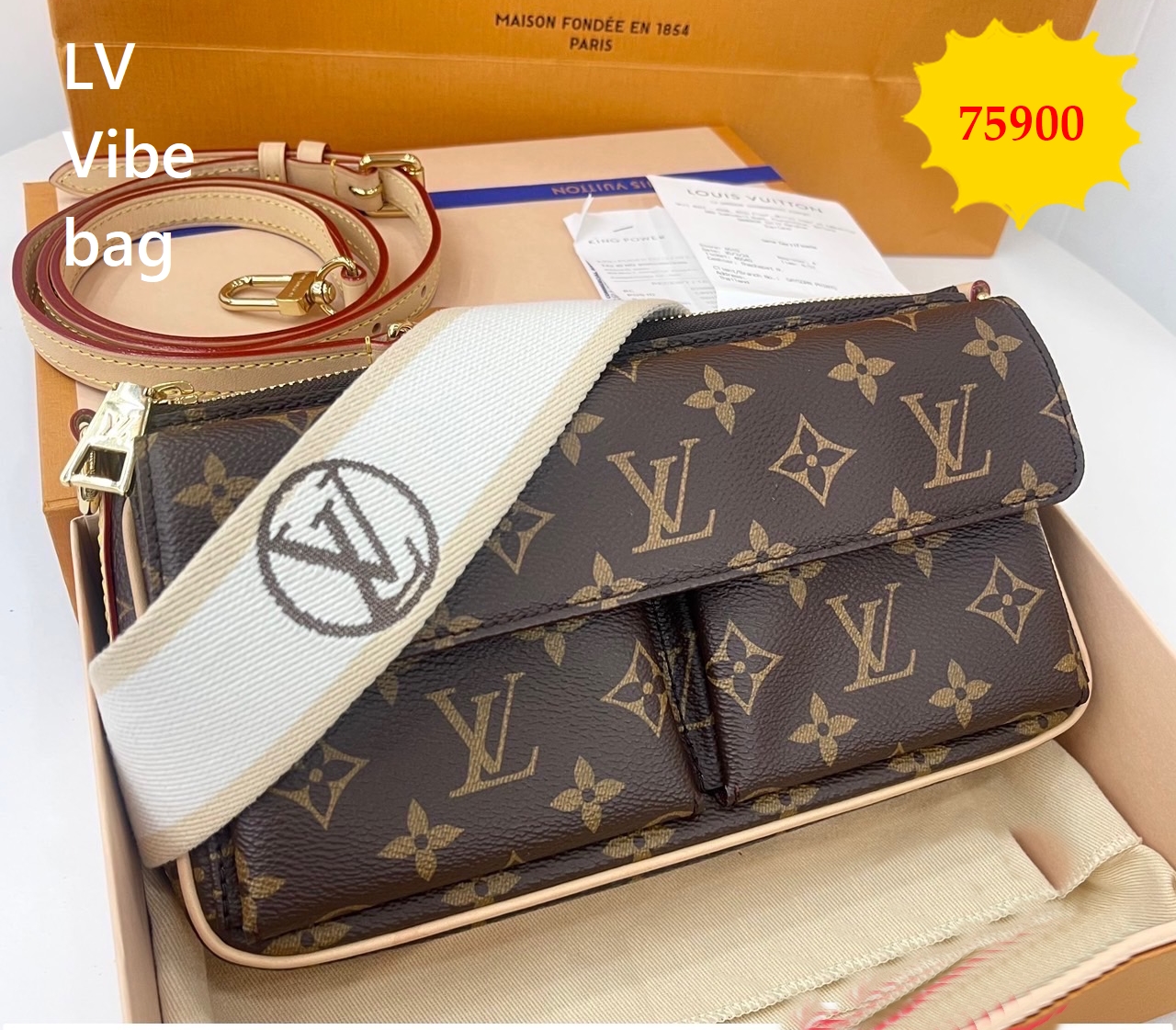 LV Vibe bag fullset