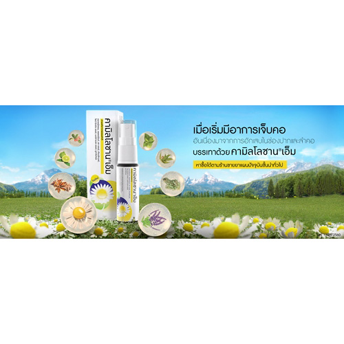 Kamillosan M คามิลโลซาน เอ็ม