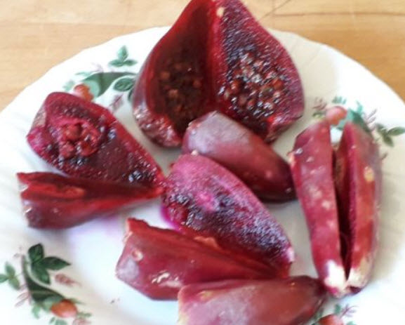 กระบองเพชรทานผล (สายพันธุ์ Opuntia) แดง / 10 เม็ด (Cyprus)