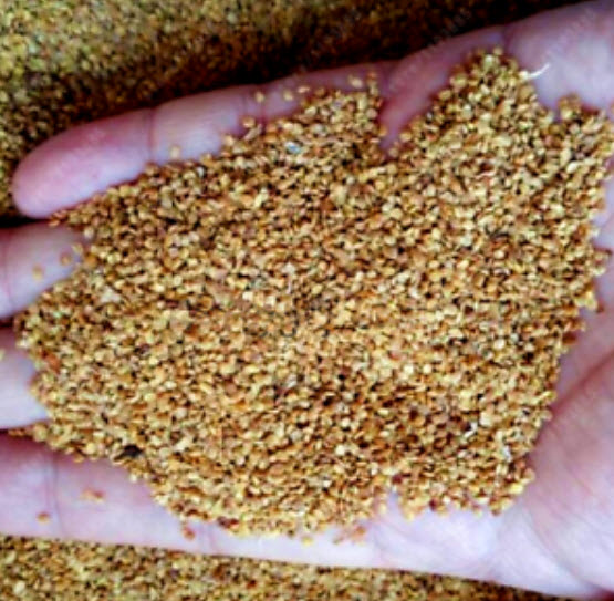 โกจิเบอรี่ / เก๋ากี้ (Gojiberry) / 200 เม็ด