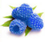ราสเบอรี่ (Raspberry) สีน้ำเงิน / 100 เม็ด