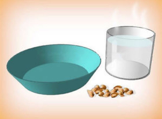 ซากูระญี่ปุ่น บอนไซ (Japanese Cherry Blossom) สีชมพูเข้ม / 5 เม็ด