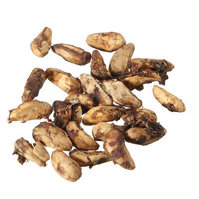 มะนาวนิ้ว (Finger lime) สีเขียว / 10 เม็ด