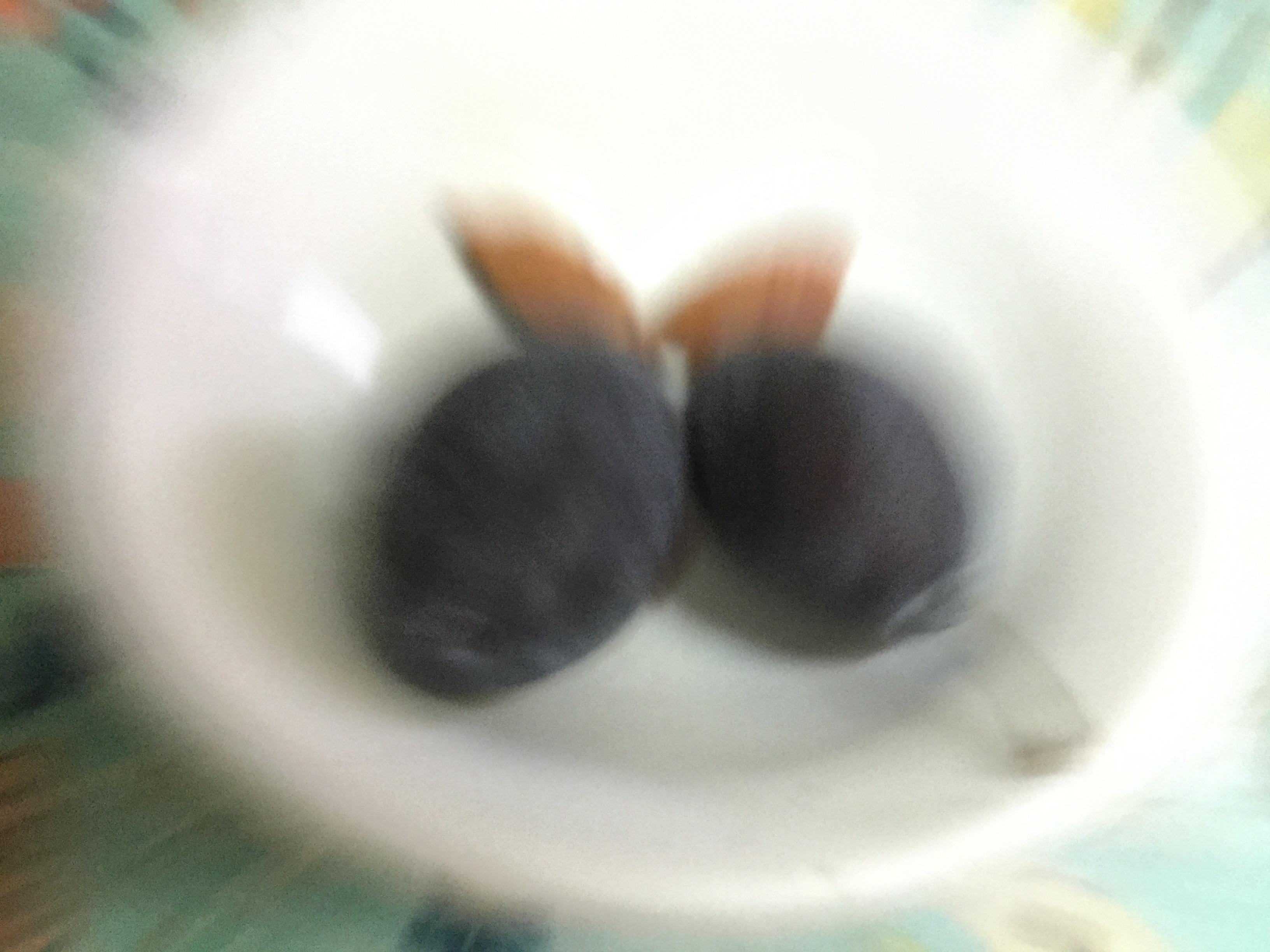 เมล็ดพรุนสด (fresh prune) / 2 เม็ด (Georgia)