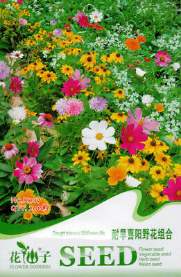 ดอกไม้ป่า คละ สำหรับพื้นที่แห้งแล้ง สูง 40-55 ซ.ม. / ซอง 200 เม็ด ( K007)