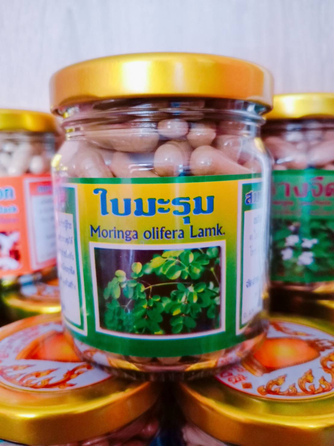 ใบมะรุม สมุนไพรพรหมรังสี