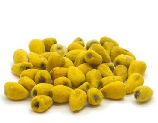 เพลิงภาณุ (Illawarra Flame Tree) / 10 เม็ด (Portugal)