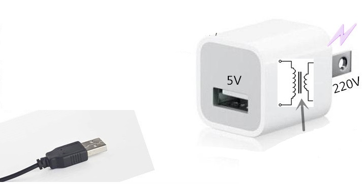 น้ำพุแมวพร้อมข้าวสาลีแก้ปากเหม็น