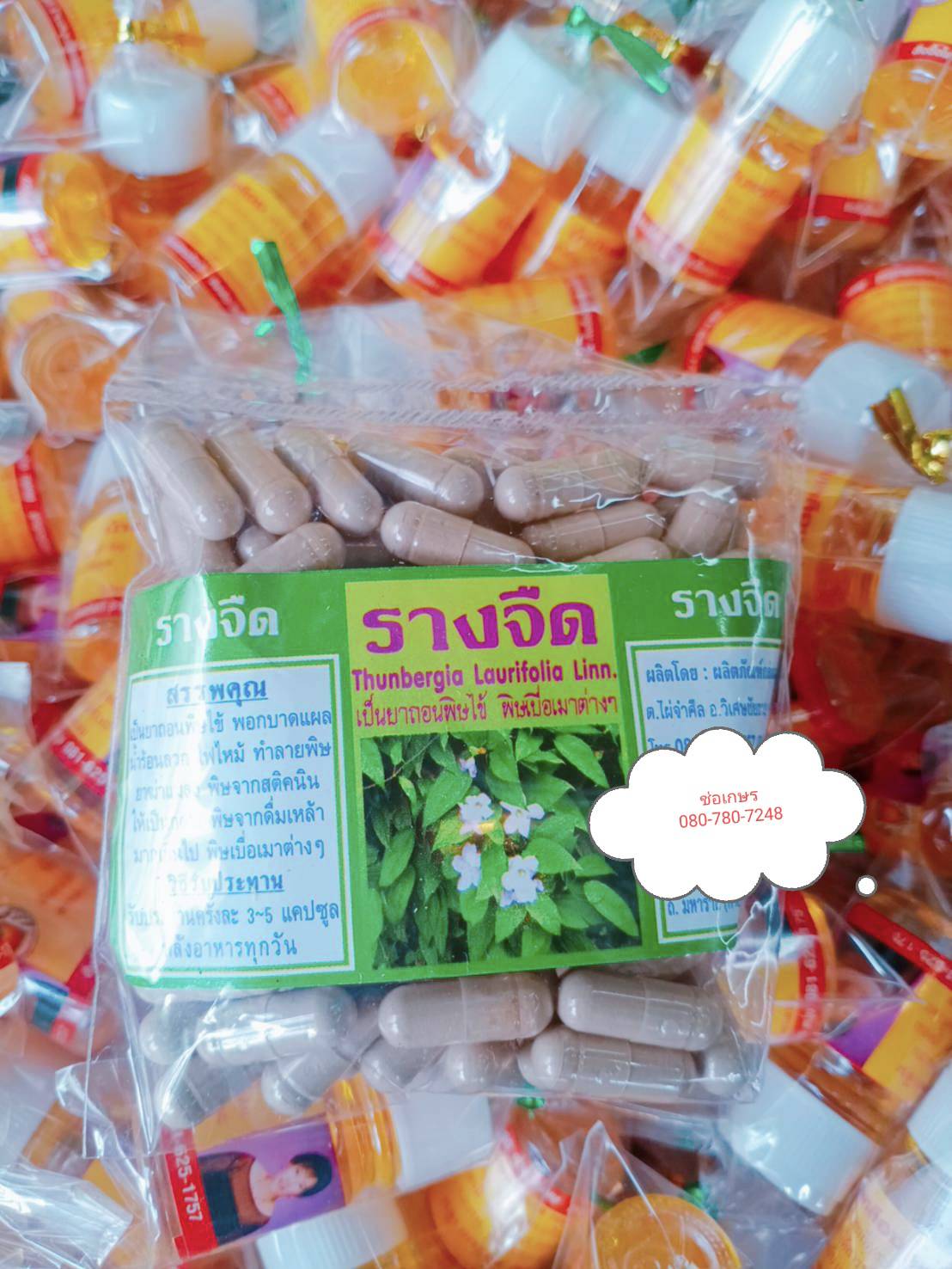 รางจืด พรหมรังสี