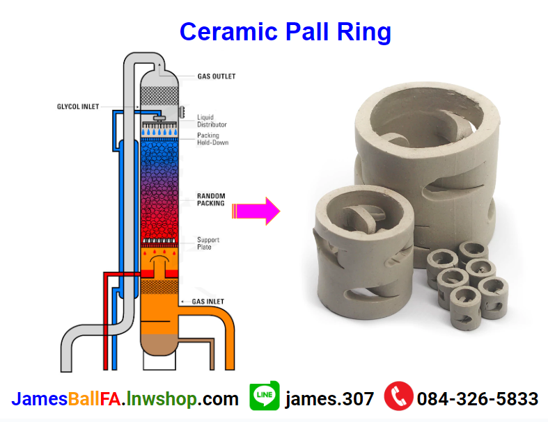 Ceramic Pall Ring แหวนโลหะแหวนพอล