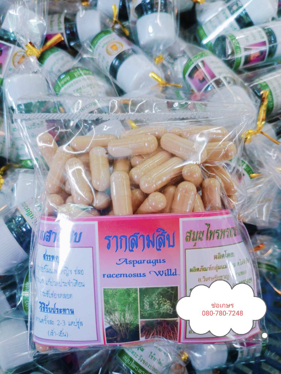 รากสามสิบ พรหมรังสี