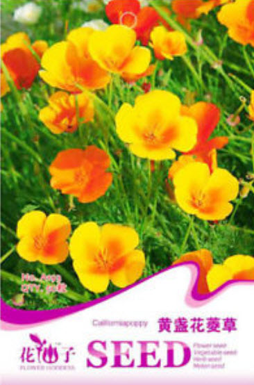 แคลิฟอร์เนียป๊อปปี้ (California Poppy) คละ แบบ B / ซอง 50 เม็ด