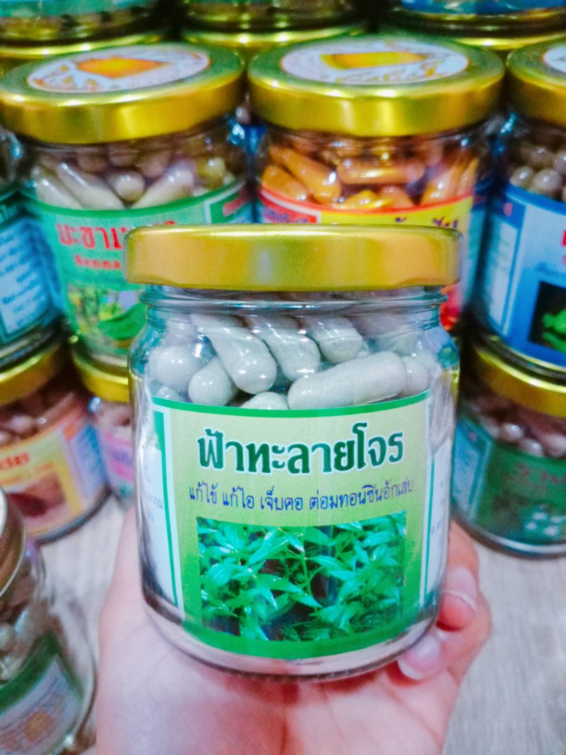 ฟ้าทะลายโจร สมุนไพรพรหมรังสี