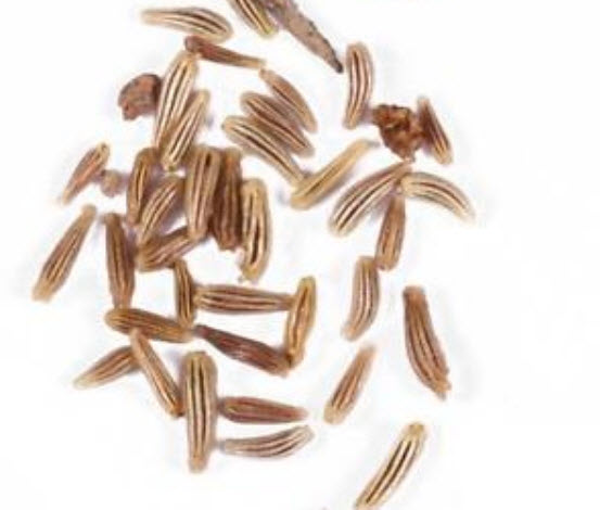 สมุนไพรไล่ยุง / 100 เม็ด (นอก)