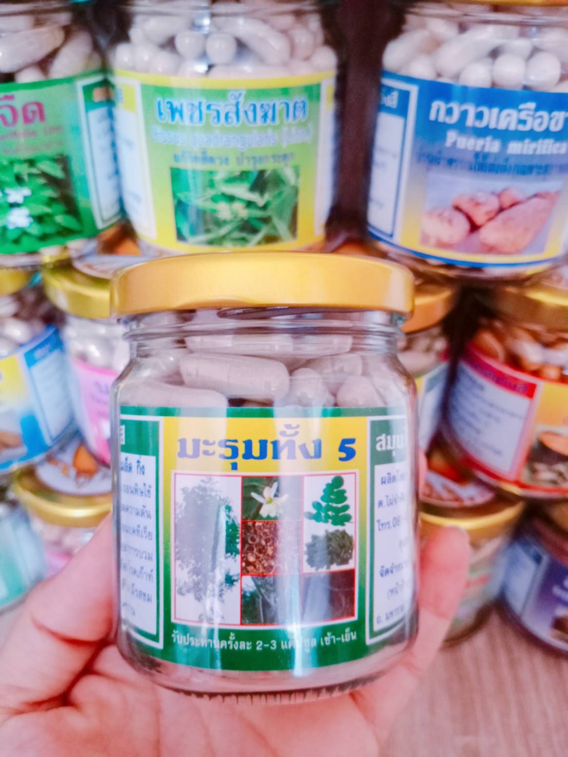 มะรุมทั้ง 5 พรหมรังสี