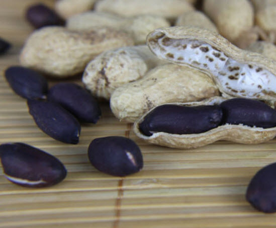 ถั่วลิสง (Groundnut) ดำ / 10 เม็ด (นอก)