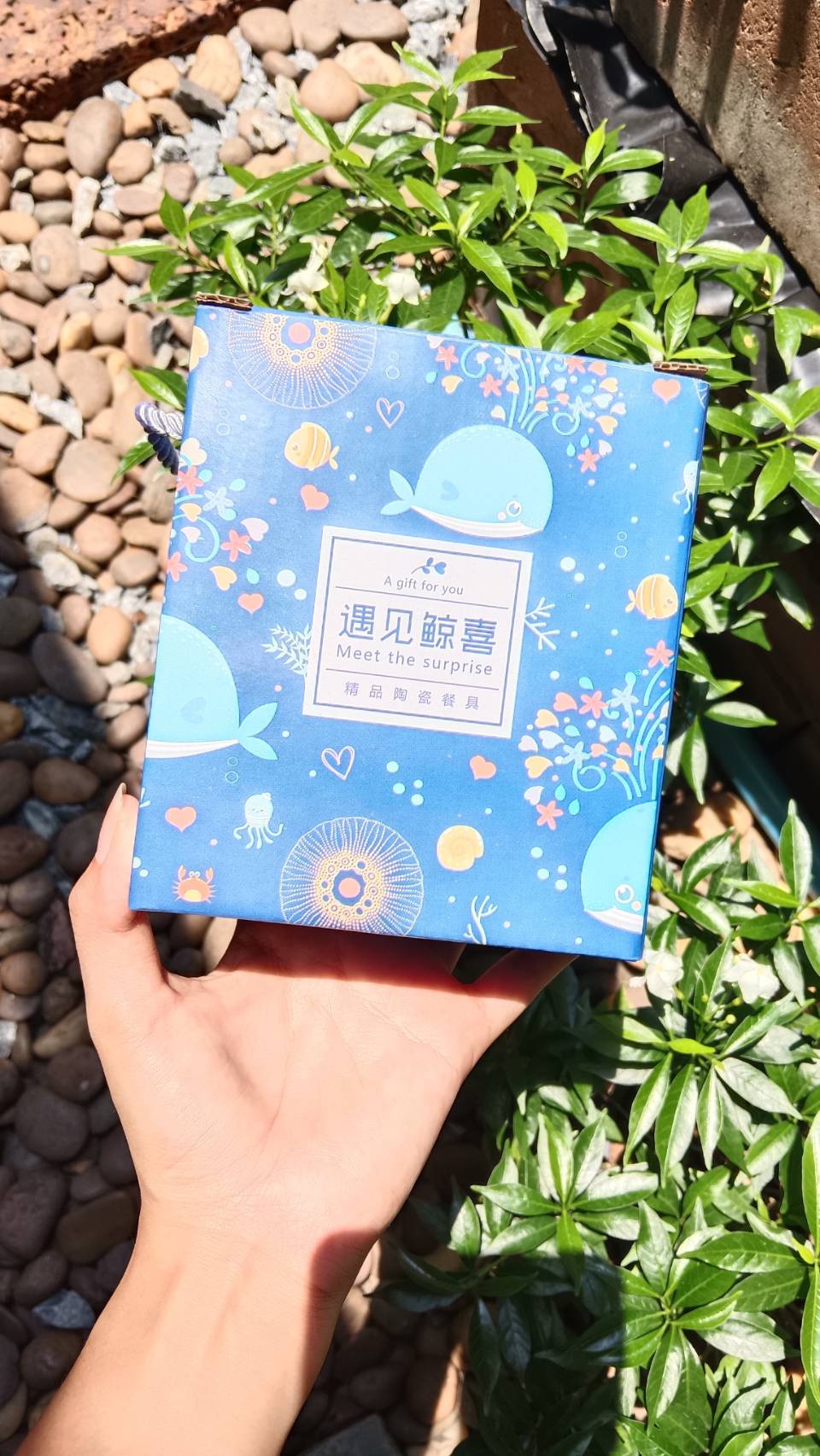 ชุดถ้วยเซรามิค พร้อมช้อน มีกล่องหูหิ้ว