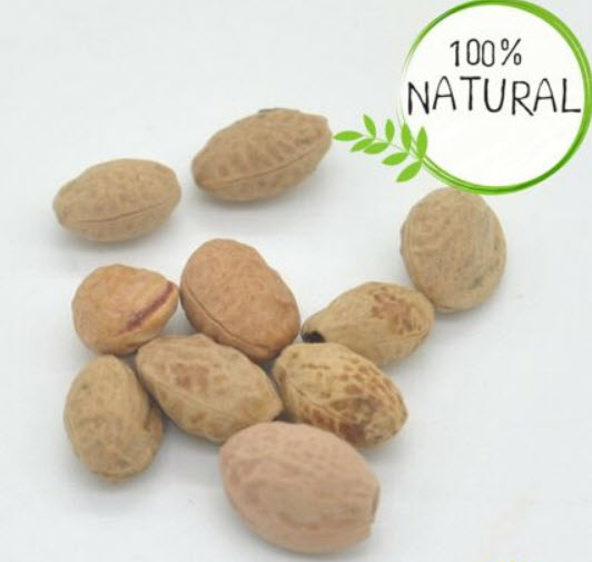 วีบพิ่ง เชอรี่ (Weeping Cherry - Pink Fountain) / 20 เม็ด