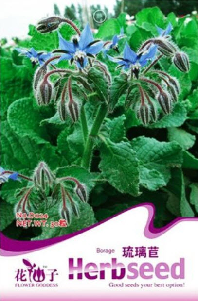โบราจ (Borage) / ซอง 30 เม็ด (D024)
