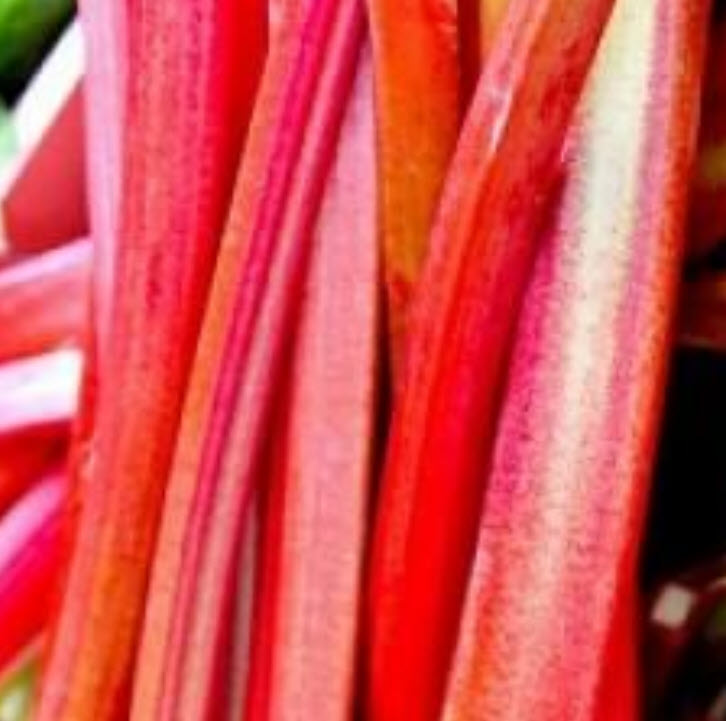 รูห์บาบแดง / รูห์บับแดง (Rhubarb Glaskins Perpetual) / 20 เม็ด (UK)