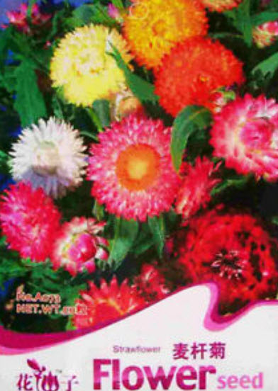 ดอกกระดาษ / บานไม่รู้โรยฝรั่ง (Straw Flower) / ซอง 50 เม็ด (A073)