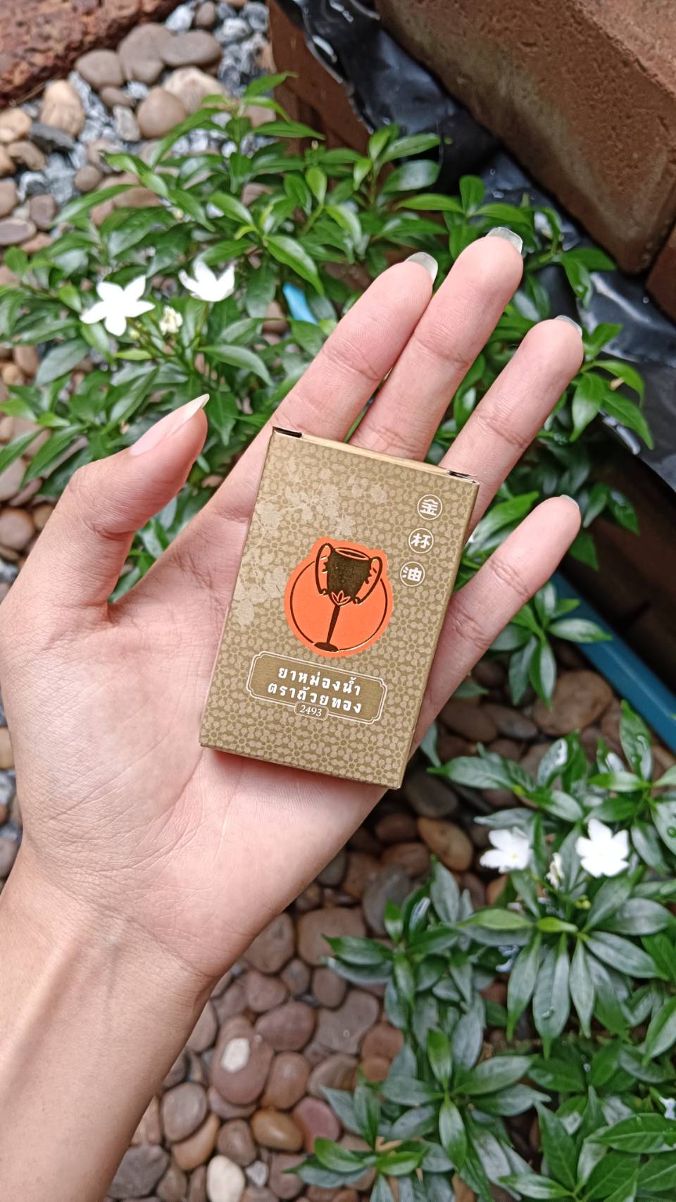 ยาหม่องน้ำ ถ้วยทอง ขนาด3 CC