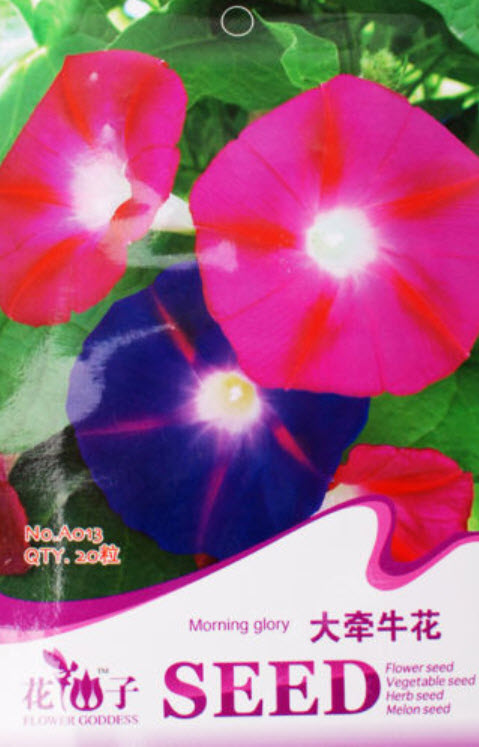 ผักบุ้งฝรั่ง (Morning Glory) / ซอง 20 เม็ด (A013)