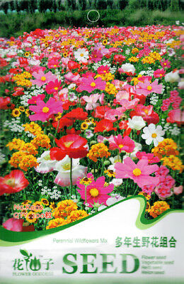 ดอกไม้ป่า (wildflowers) คละ / ซอง 200 เม็ด (K002)