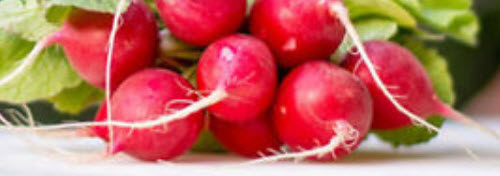 ไชเท้า ไรอา (Radish - RIA) สีแดง / 100 เม็ด (UK)