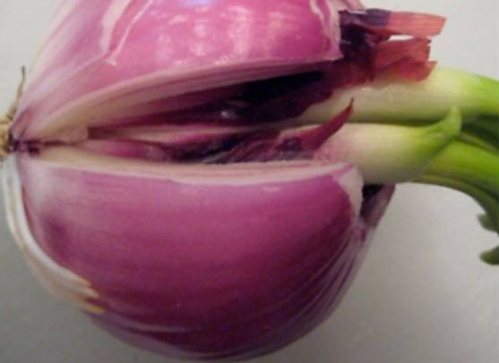 หอมแดง หัวใหญ่ / 100 เม็ด (S087)