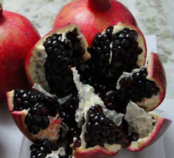 ทับทิมดำ (Black Pomegranate) / 10 เม็ด (Malaysia)