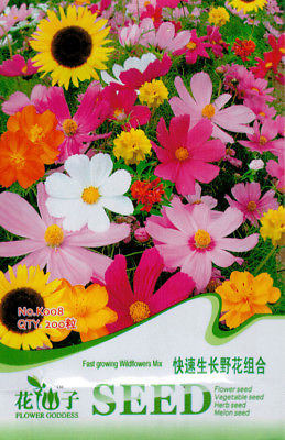 ดอกไม้ป่า คละ โตเร็ว สูง 30-50 ซ.ม. / ซอง 200 เม็ด (K008)