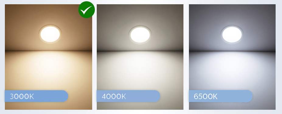Philips ดาวไลท์ ฟิลิปส์ LED DN020B 5 นิ้ว 12W