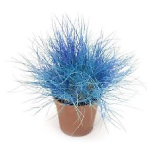 หญ้าฟาง (Fescue grass) สีฟ้า / 100 เม็ด