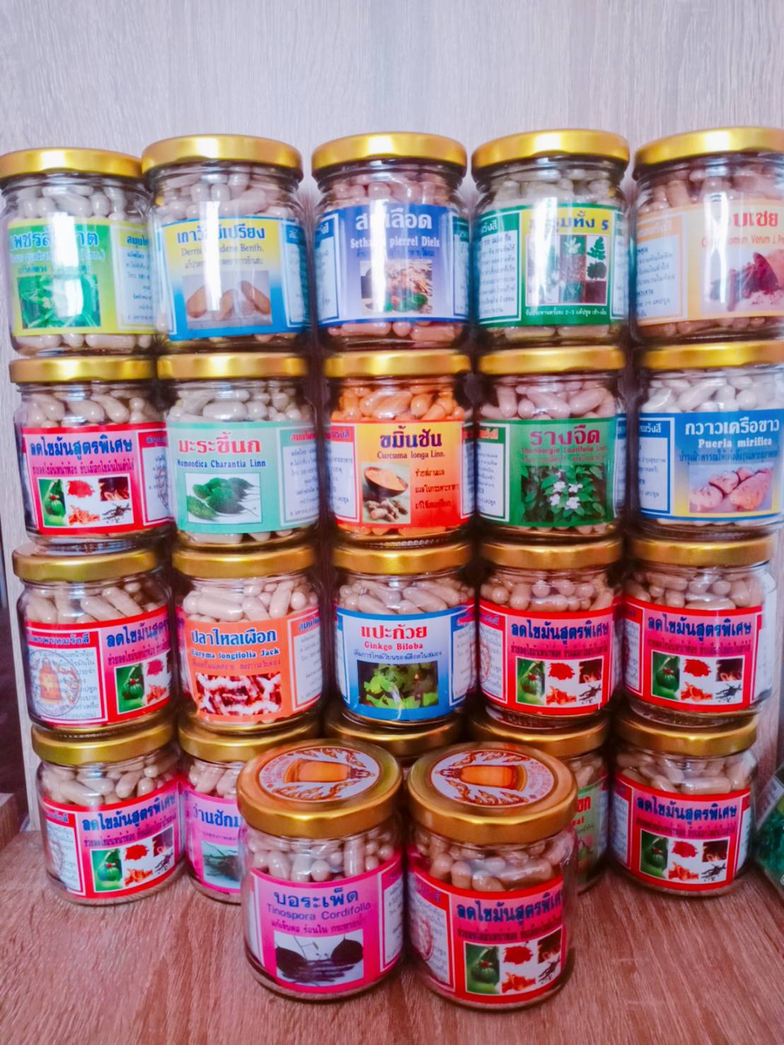 บอระเพ็ด สมุนไพรพรหมรังสี