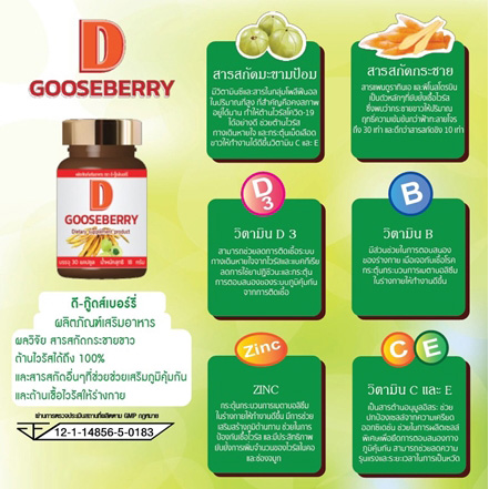 D GOOSEBERRY สารสกัดกระชายขาว มะขามป้อม วิตามิน D B C E ZINC