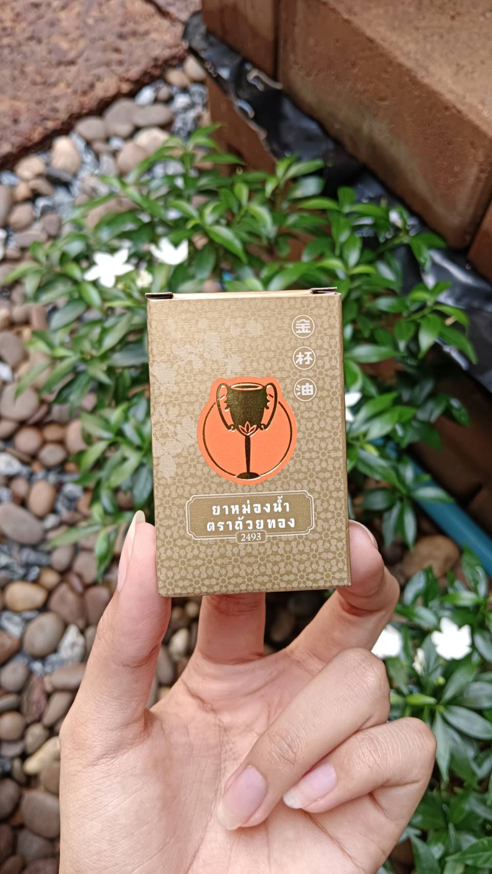 ยาหม่องน้ำ ถ้วยทอง ขนาด3 CC