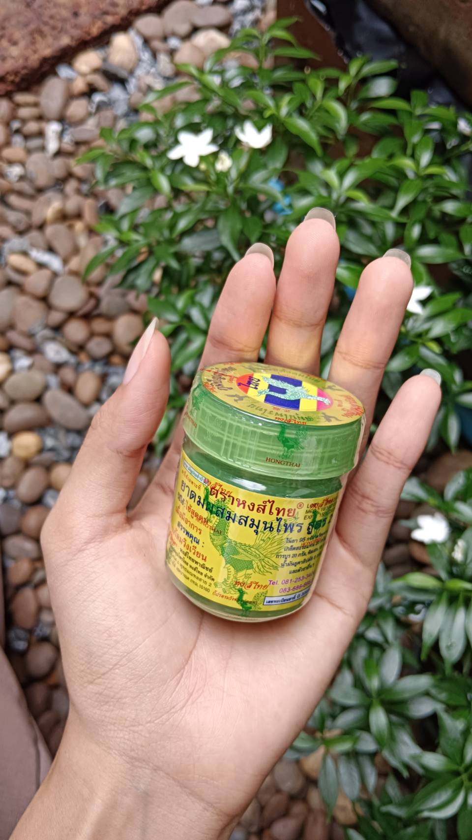 ยาดมสมุนไพร หงส์ไทย