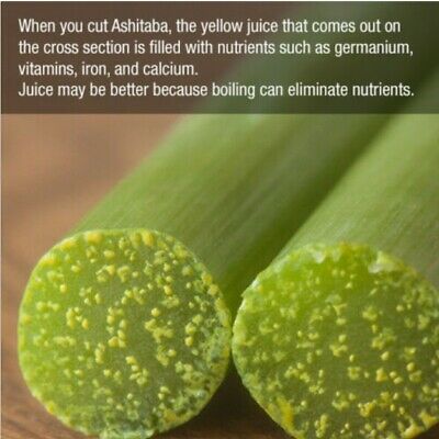 หน่อไม้น้ำ หรือ Ashitaba /20 เม็ด (Korea)