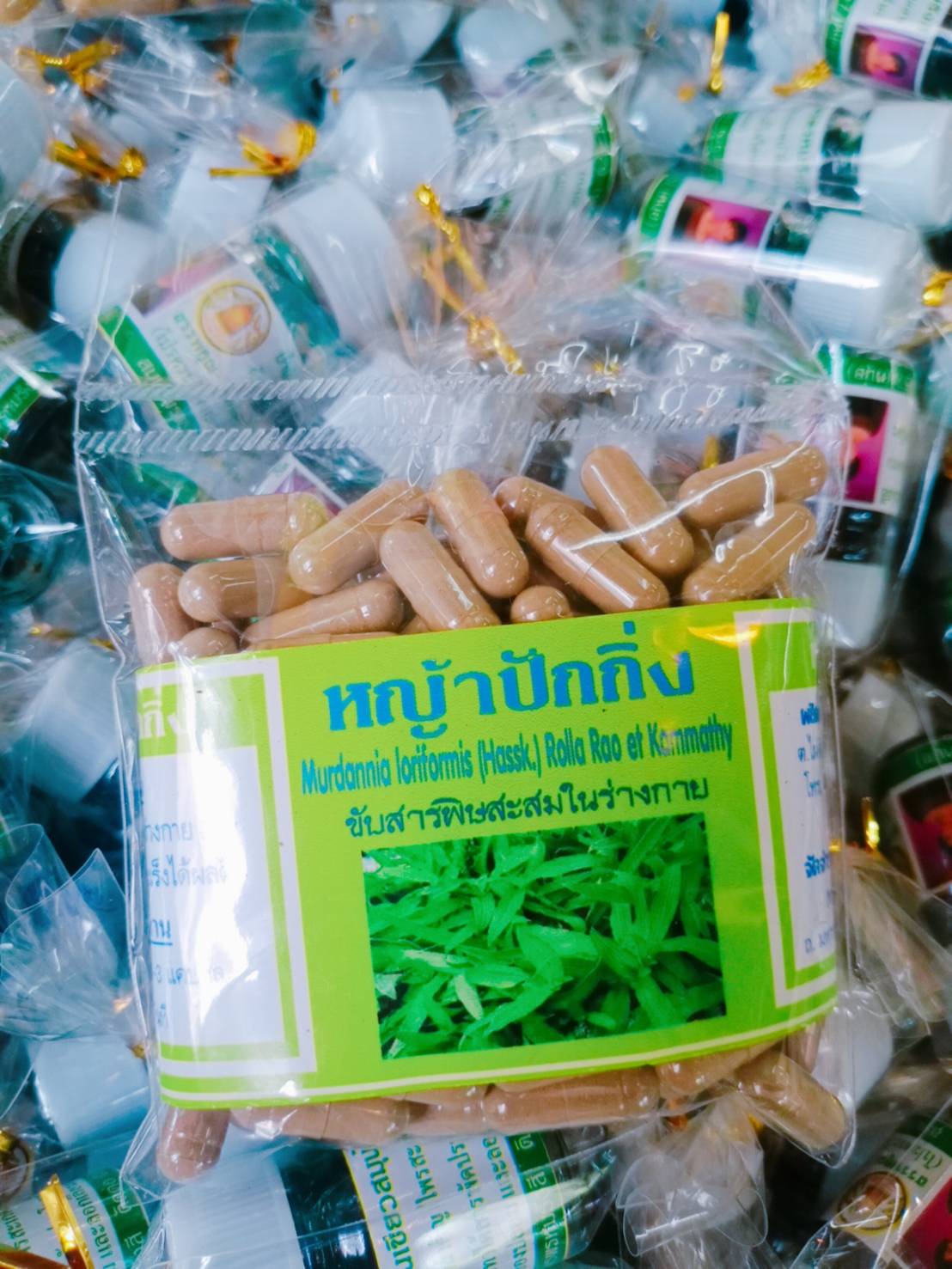 หญ้าปักกิ่ง พรหมรังสี